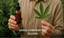 Comprar CBD en España: Guía informativa de productos y mercado español