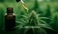 ¿El CBD coloca? Desmitificando el mito psicoactivo