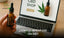 Comprar CBD online: Guía completa para encontrar los mejores productos