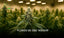 Flores de CBD indoor: ventajas del cultivo de interior