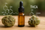 THC vs THCA: diferencias clave que debes conocer