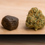 ¿Resina o flor de CBD? Comparativa completa para acertar