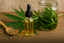 Aceite de CBD casero: ingredientes, proceso y consideraciones legales